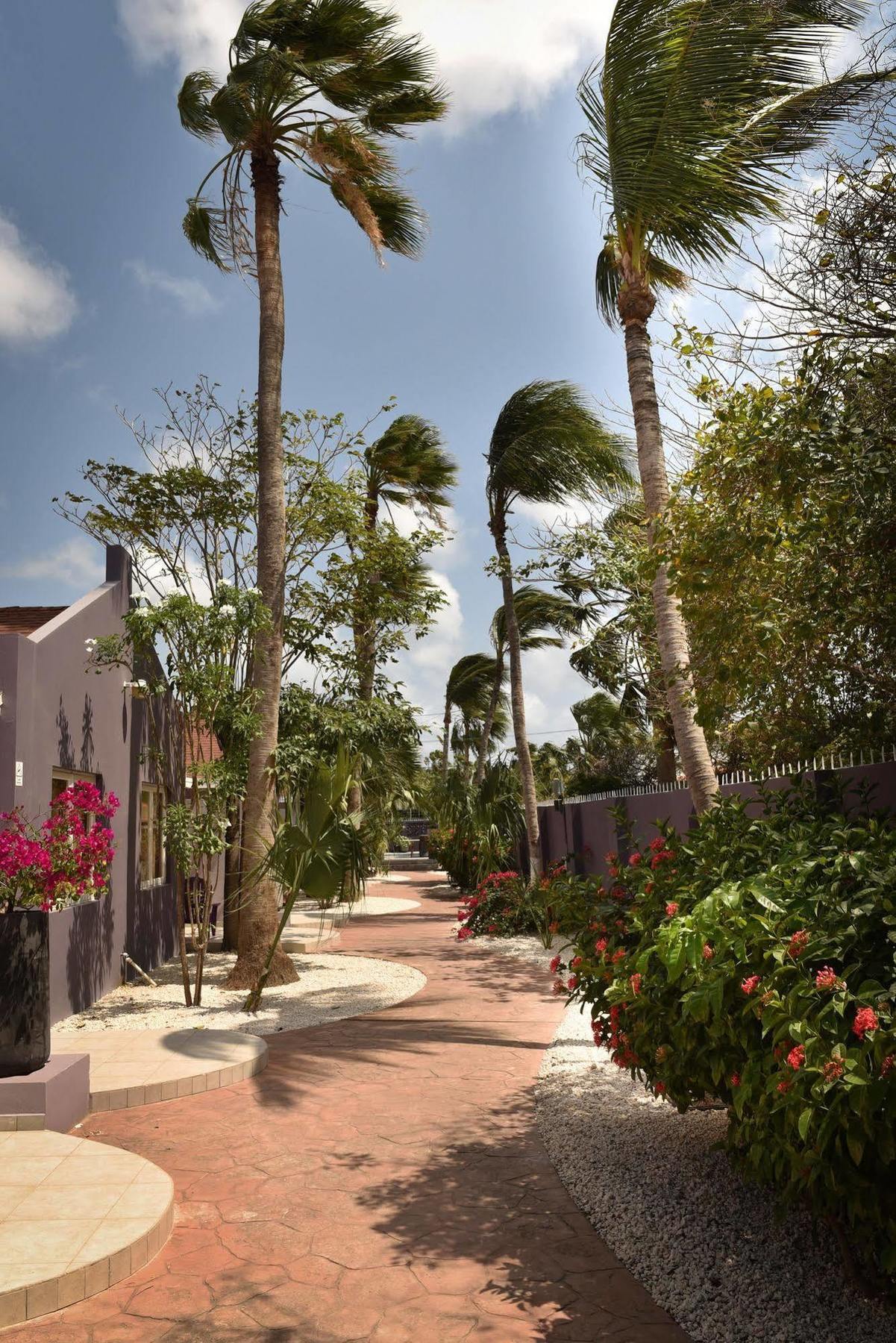 Cadushi Apartments Oranjestad Exterior foto