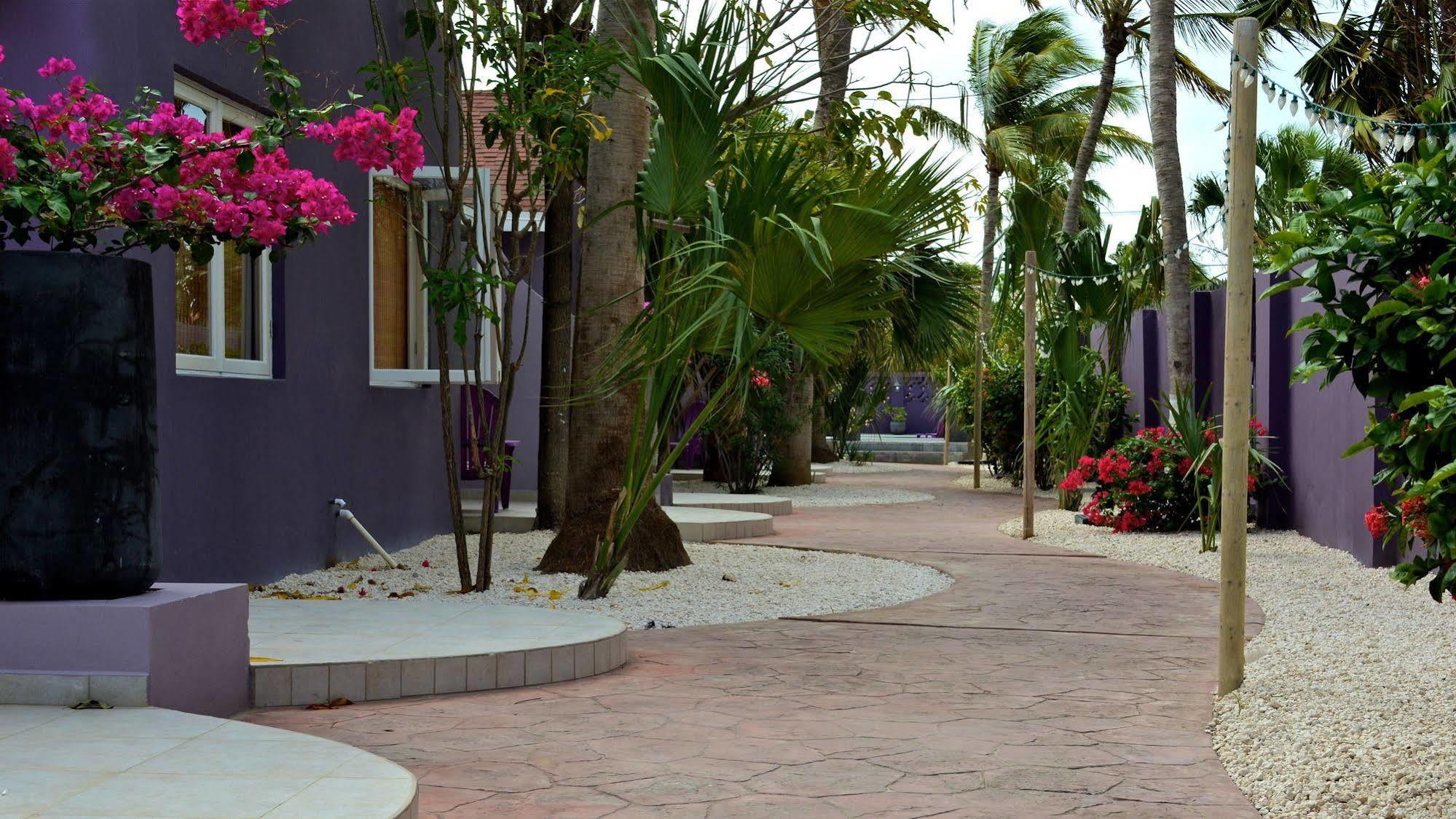 Cadushi Apartments Oranjestad Exterior foto